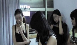 成人视频网,暗流涌动的网络世界